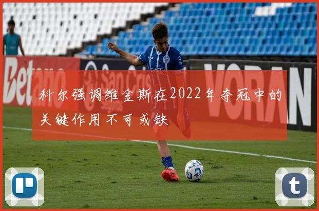 科尔强调维金斯在2022年夺冠中的关键作用不可或缺