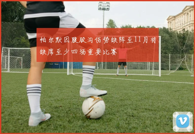 帕尔默因腹股沟伤势缺阵至11月将缺席至少四场重要比赛
