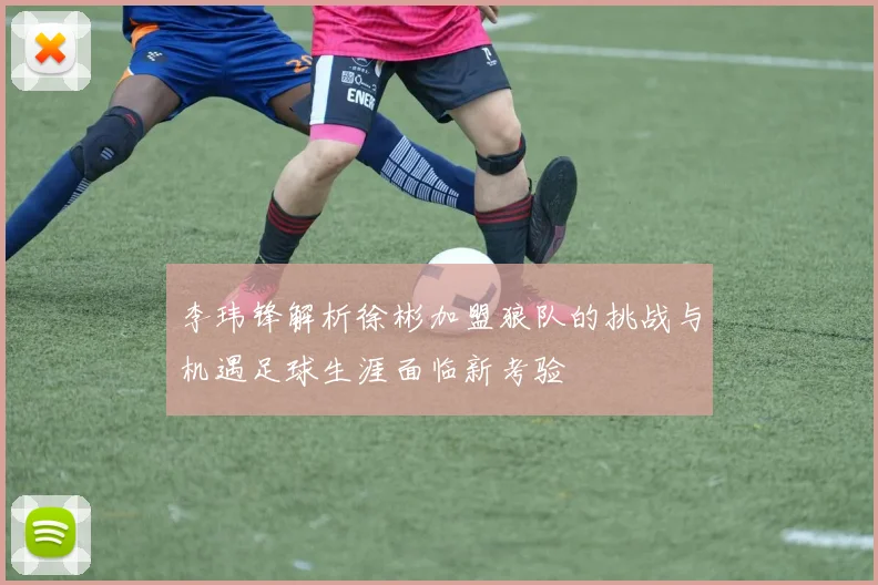 李玮锋解析徐彬加盟狼队的挑战与机遇足球生涯面临新考验